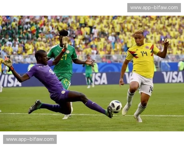 狮王与黑马的史诗交汇：英格兰vs哥斯达黎加，不仅仅是一场球赛